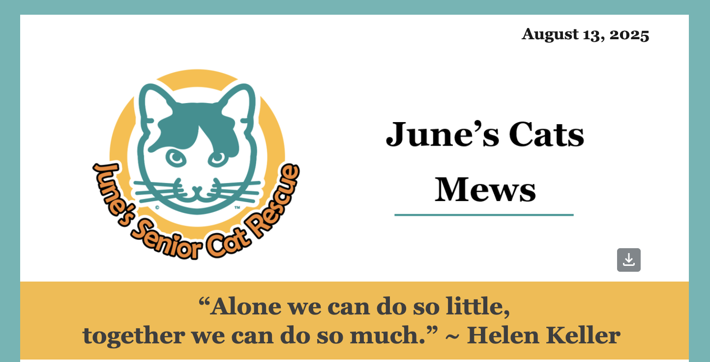 Read the Latest June’s Cats Mews