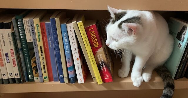 Our Literary Cat Book Sale is March 14!