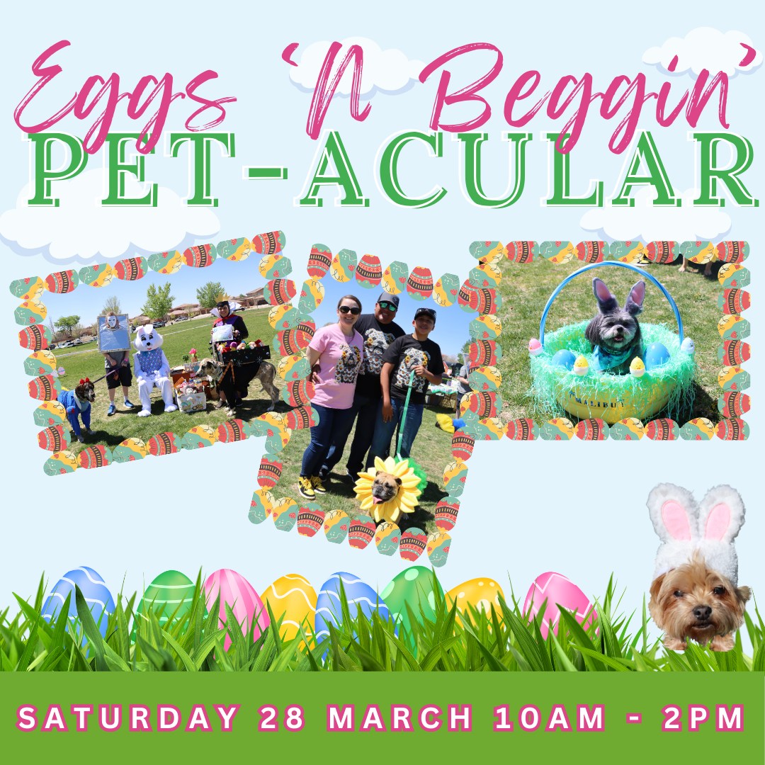 Volunteers Needed for Upcoming Event