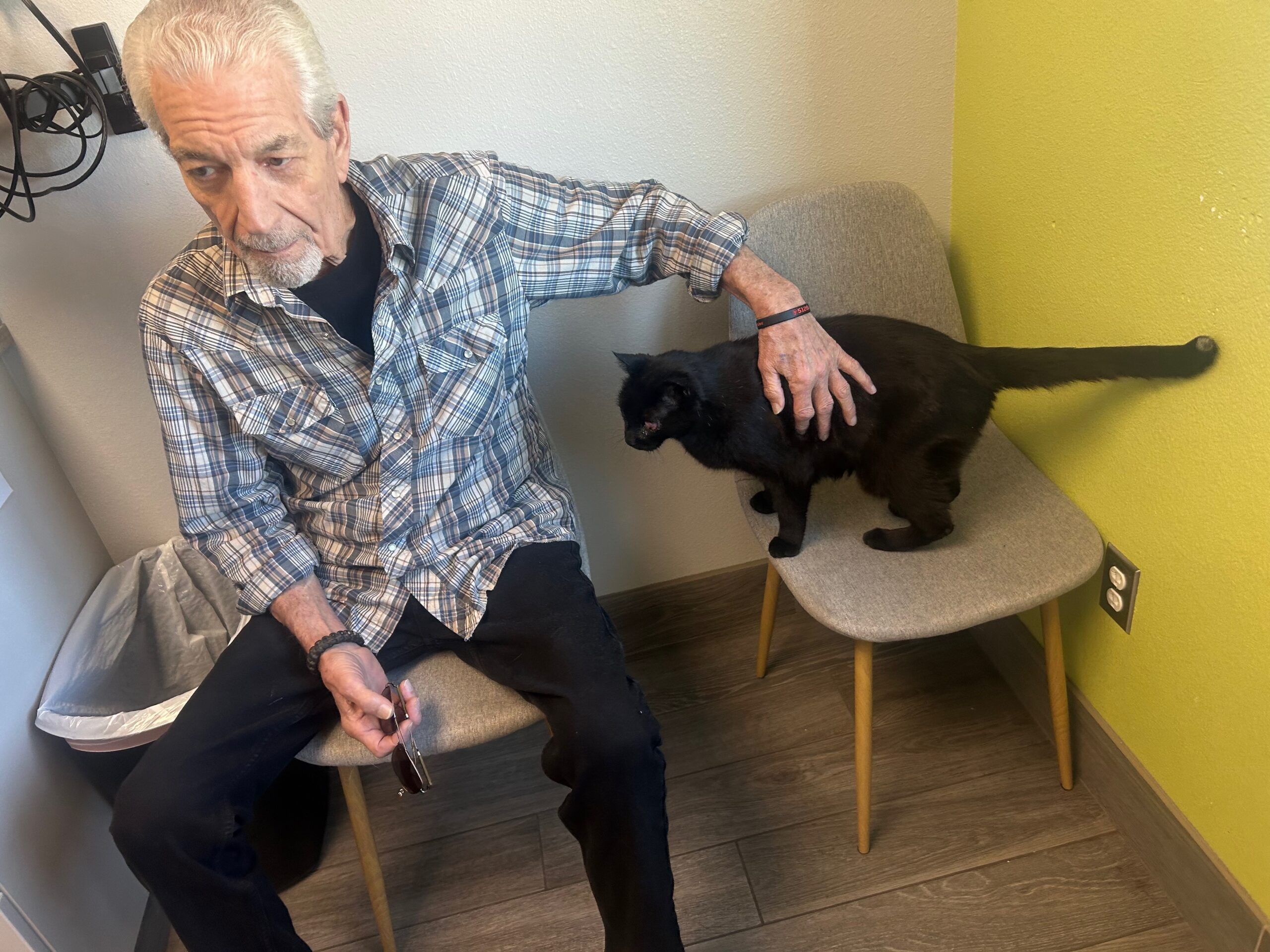 Lance, a black cat, at a recent vet visit with his foster, Robert.